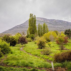 La capital habilitar� zonas en Valonsadero para ver el eclipse de sol de agosto                     